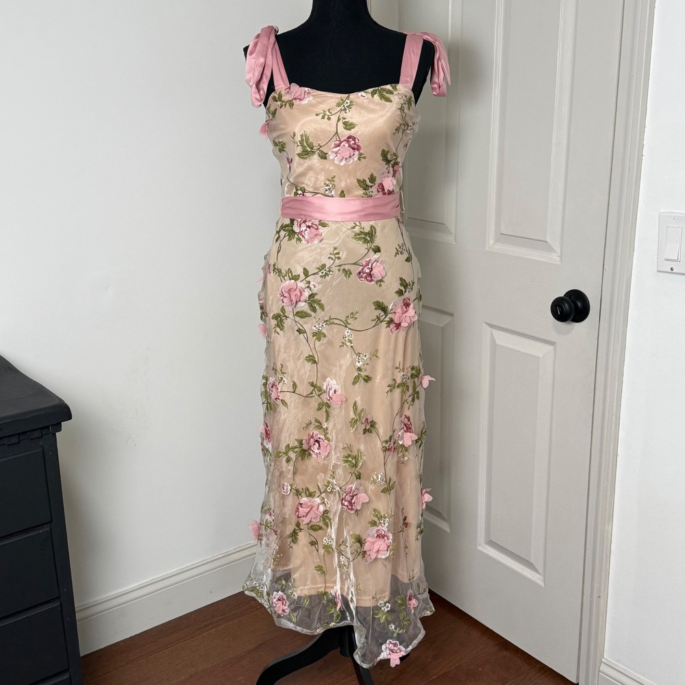 Lulus Fairy Coquette Maxi Dress Women Small Pink Floral Applique Mesh Ethereal